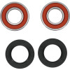 Pivot Works Arctic Cat, Honda, Kymco Wheel Bearing Kit Premium Bearings - 25-1049-P Photo - Primary