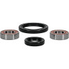 Pivot Works Suzuki Wheel Bearing Kit Premium Bearings - 25-1051-P Photo - Primary