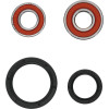 Pivot Works KTM Wheel Bearing Kit Premium Bearings - 25-1061-P Photo - Primary