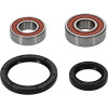 Pivot Works KTM Wheel Bearing Kit Premium Bearings - 25-1061-P Photo - Primary