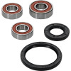Pivot Works Yamaha Wheel Bearing Kit Premium Bearings - 25-1064-P Photo - Primary