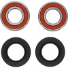 Pivot Works Aprilia/Beta/BMW/Cagiva/Gas-Gas/Honda/Kawasaki/Sherco Wheel Bearing Kit Premium Bearings - 25-1070-P Photo - Primary