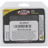 Pivot Works Aprilia/Beta/BMW/Cagiva/Gas-Gas/Honda/Kawasaki/Sherco Wheel Bearing Kit Premium Bearings - 25-1070-P Photo - Primary