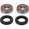 Pivot Works Aprilia/Beta/BMW/Cagiva/Gas-Gas/Honda/Kawasaki/Sherco Wheel Bearing Kit Premium Bearings - 25-1070-P Photo - Primary