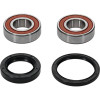 Pivot Works Honda Wheel Bearing Kit Premium Bearings - 25-1071-P Photo - Primary
