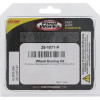 Pivot Works Honda Wheel Bearing Kit Premium Bearings - 25-1071-P Photo - Primary