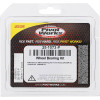 Pivot Works Honda Wheel Bearing Kit Premium Bearings - 25-1073-P Photo - Primary