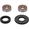 Pivot Works Honda Wheel Bearing Kit Premium Bearings - 25-1075-P Photo - Primary