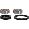 Pivot Works Honda Wheel Bearing Kit Premium Bearings - 25-1076-P Photo - Primary