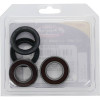 Pivot Works Gas-Gas, Kawasaki, Suzuki Wheel Bearing Kit Premium Bearings - 25-1079-P Photo - Primary