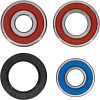 Pivot Works Honda, KTM Wheel Bearing Kit Premium Bearings - 25-1087-P Photo - Primary