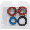 Pivot Works Honda, KTM Wheel Bearing Kit Premium Bearings - 25-1087-P Photo - Primary