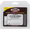 Pivot Works Yamaha Wheel Bearing Kit Premium Bearings - 25-1090-P Photo - Primary
