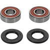 Pivot Works Kawasaki Wheel Bearing Kit Premium Bearings - 25-1093-P Photo - Primary