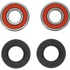 Pivot Works Kawasaki Wheel Bearing Kit Premium Bearings - 25-1093-P Photo - Primary