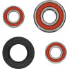 Pivot Works Suzuki Wheel Bearing Kit Premium Bearings - 25-1096-P Photo - Primary