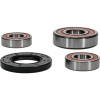Pivot Works Suzuki Wheel Bearing Kit Premium Bearings - 25-1096-P Photo - Primary