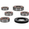 Pivot Works Suzuki Wheel Bearing Kit Premium Bearings - 25-1097-P Photo - Primary