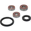 Pivot Works Polaris Wheel Bearing Kit Premium Bearings - 25-1098-P Photo - Primary