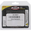 Pivot Works Polaris Wheel Bearing Kit Premium Bearings - 25-1098-P Photo - Primary
