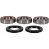Pivot Works KTM Wheel Bearing Kit Premium Bearings - 25-1101-P Photo - Primary