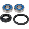 Pivot Works Honda Wheel Bearing Kit Premium Bearings - 25-1120-P Photo - Primary