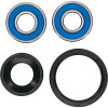 Pivot Works Honda Wheel Bearing Kit Premium Bearings - 25-1120-P Photo - Primary
