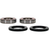 Pivot Works Kawasaki Wheel Bearing Kit Premium Bearings - 25-1121-P Photo - Primary