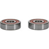Pivot Works Hyosung, Suzuki Wheel Bearing Kit Premium Bearings - 25-1138-P Photo - Primary