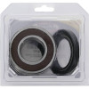 Pivot Works Kawasaki, Suzuki Wheel Bearing Kit Premium Bearings - 25-1158-P Photo - Primary