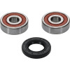 Pivot Works Yamaha Wheel Bearing Kit Premium Bearings - 25-1161-P Photo - Primary