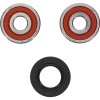 Pivot Works Yamaha Wheel Bearing Kit Premium Bearings - 25-1161-P Photo - Primary