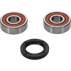 Pivot Works Honda, Suzuki Wheel Bearing Kit Premium Bearings - 25-1170-P Photo - Primary