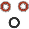 Pivot Works Honda, Suzuki Wheel Bearing Kit Premium Bearings - 25-1170-P Photo - Primary