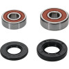 Pivot Works Kawasaki, Yamaha Wheel Bearing Kit Premium Bearings - 25-1171-P Photo - Primary