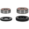 Pivot Works Kawasaki, Yamaha Wheel Bearing Kit Premium Bearings - 25-1171-P Photo - Primary