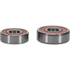 Pivot Works Honda, Kawasaki, Suzuki, Yamaha Wheel Bearing Kit Premium Bearings - 25-1177-P Photo - Primary