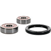 Pivot Works Kawasaki Wheel Bearing Kit Premium Bearings - 25-1184-P Photo - Primary