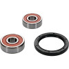 Pivot Works Kawasaki Wheel Bearing Kit Premium Bearings - 25-1184-P Photo - Primary