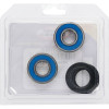 Pivot Works Husqvarna, KTM, Suzuki, Yamaha Wheel Bearing Kit Premium Bearings - 25-1188-P Photo - Primary