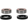 Pivot Works Kawasaki, Suzuki Wheel Bearing Kit Premium Bearings - 25-1218-P Photo - Primary