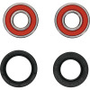 Pivot Works Kawasaki, Suzuki Wheel Bearing Kit Premium Bearings - 25-1218-P Photo - Primary