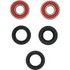 Pivot Works BMW, Honda, Kawasaki, Suzuki, Yamaha Wheel Bearing Kit Premium Bearings - 25-1219-P Photo - Primary