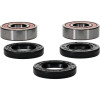 Pivot Works BMW, Honda, Kawasaki, Suzuki, Yamaha Wheel Bearing Kit Premium Bearings - 25-1219-P Photo - Primary