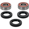 Pivot Works BMW, Honda, Kawasaki, Suzuki, Yamaha Wheel Bearing Kit Premium Bearings - 25-1219-P Photo - Primary