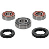 Pivot Works Honda Wheel Bearing Kit Premium Bearings - 25-1230-P Photo - Primary