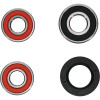 Pivot Works Honda, Hyosung, Suzuki, Yamaha Wheel Bearing Kit Premium Bearings - 25-1231-P Photo - Primary