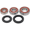 Pivot Works Kawasaki Wheel Bearing Kit Premium Bearings - 25-1234-P Photo - Primary
