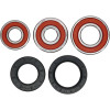 Pivot Works Kawasaki Wheel Bearing Kit Premium Bearings - 25-1234-P Photo - Primary