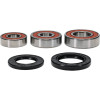 Pivot Works Kawasaki Wheel Bearing Kit Premium Bearings - 25-1234-P Photo - Primary